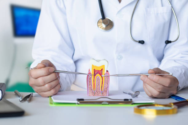 Best After-Hours Dental Trauma Care in Senoia, GA